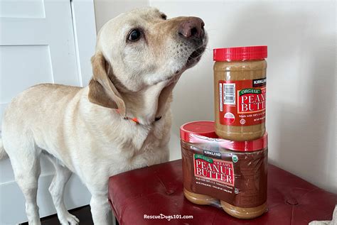 How Can I Feed My Dog Peanut Butter Safely?