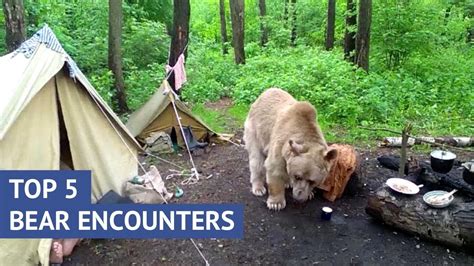 How Do Contestants Prepare for Bear Encounters?
