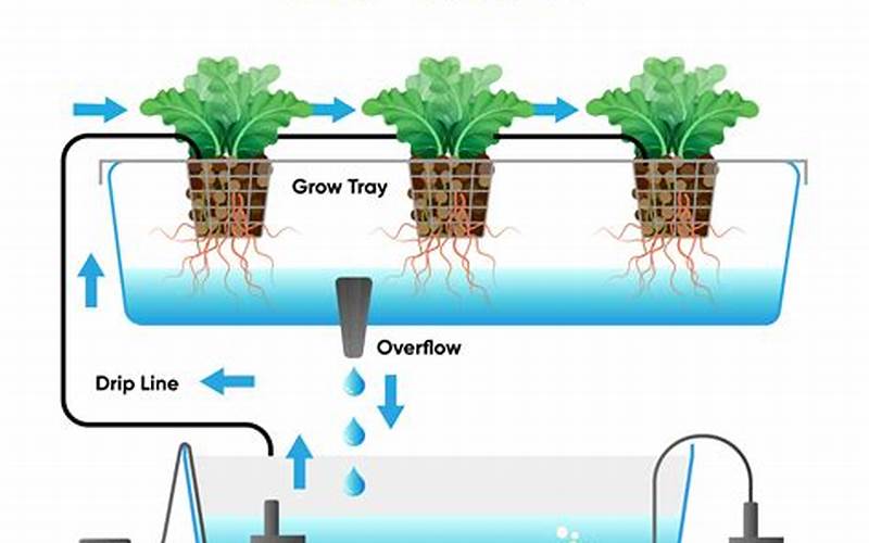 how does hydroponics system work