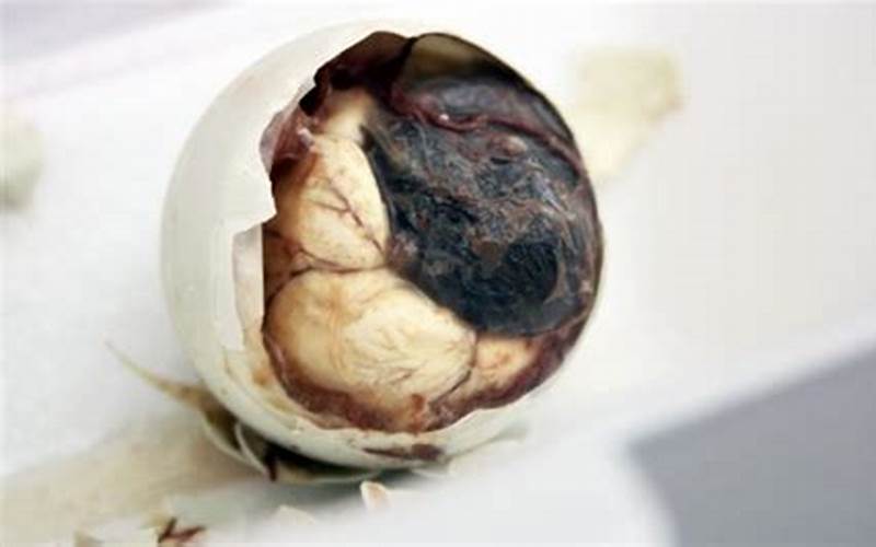 How Long To Boil Balut