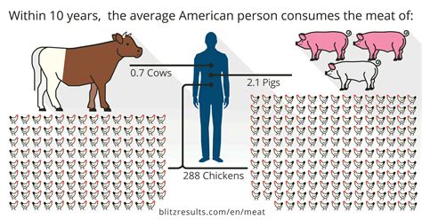 How Many Animals Die From Vegan Farming