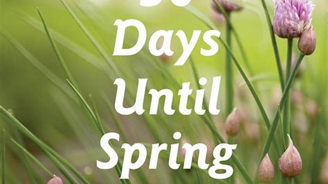 How Many Days For Spring 2024