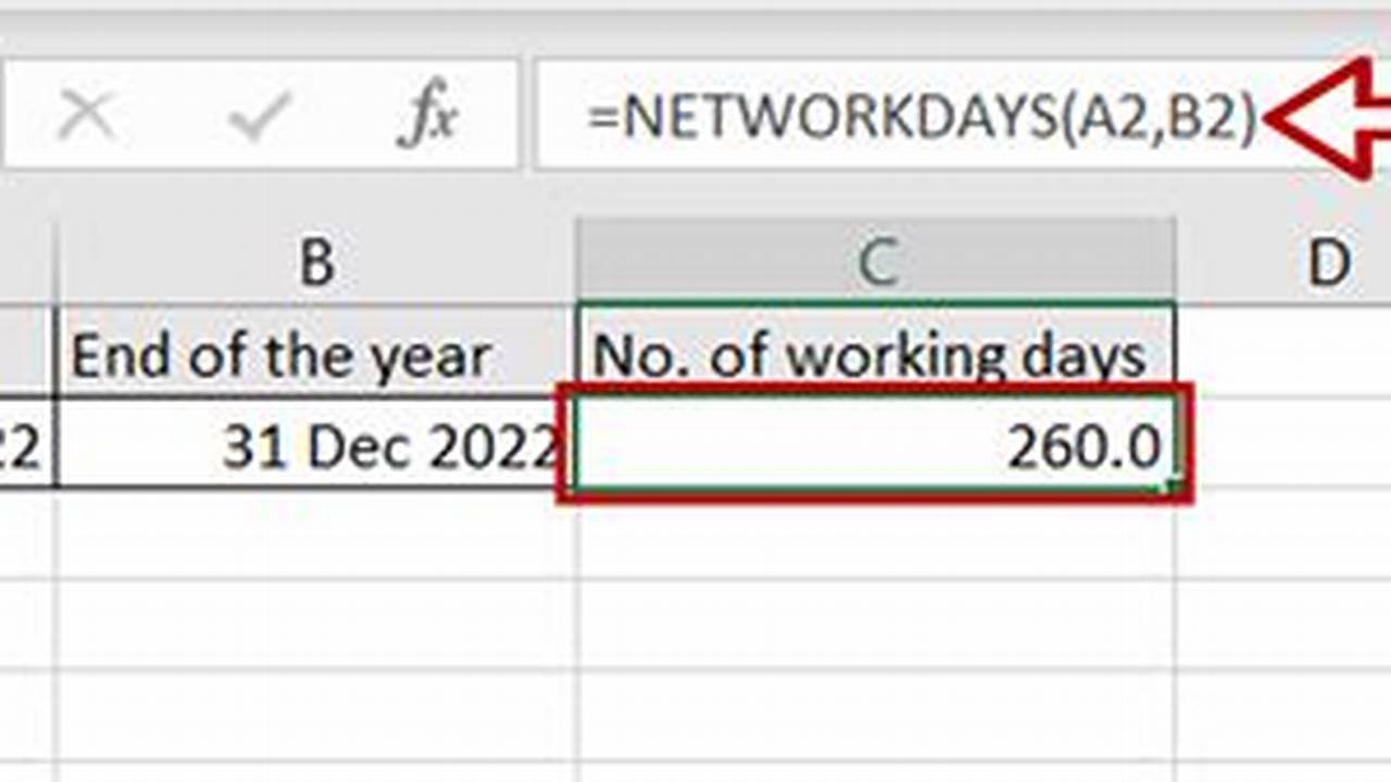 How Many Days In Year Without Weekends