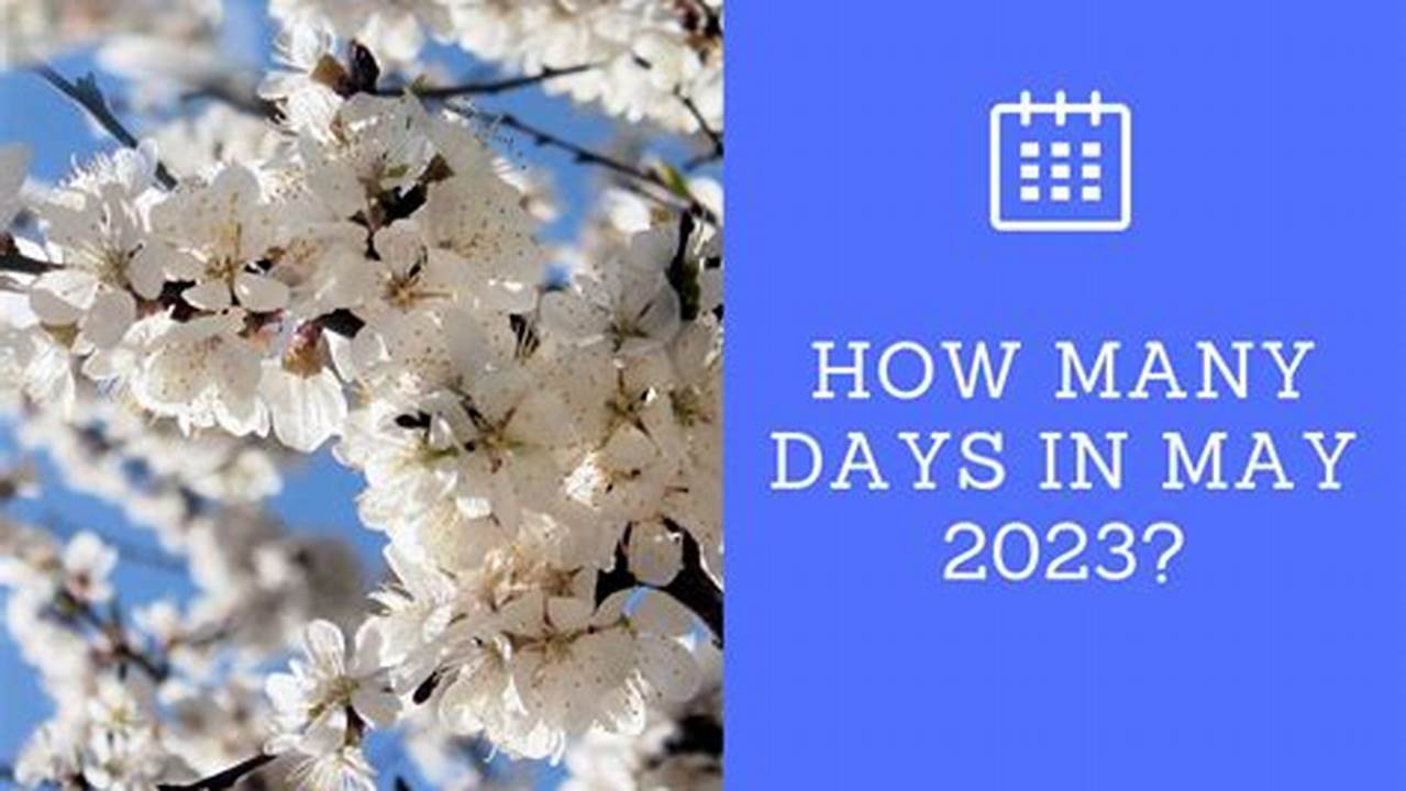 How Many Days Till May 12 2025