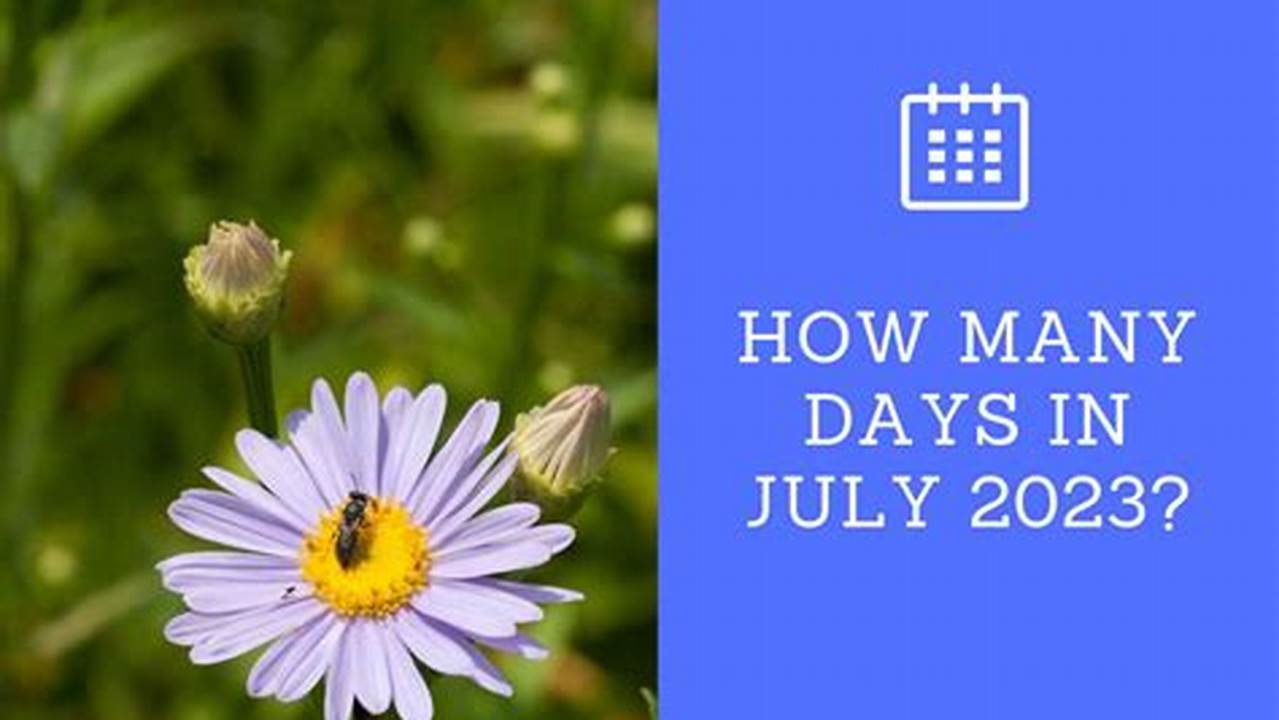 How Many Days To July 1 2025