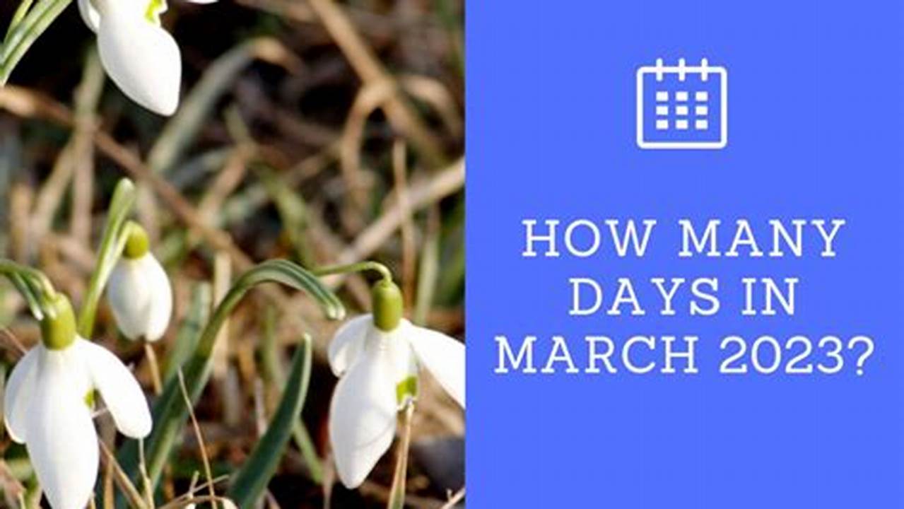 How Many Days Until March 12 2024