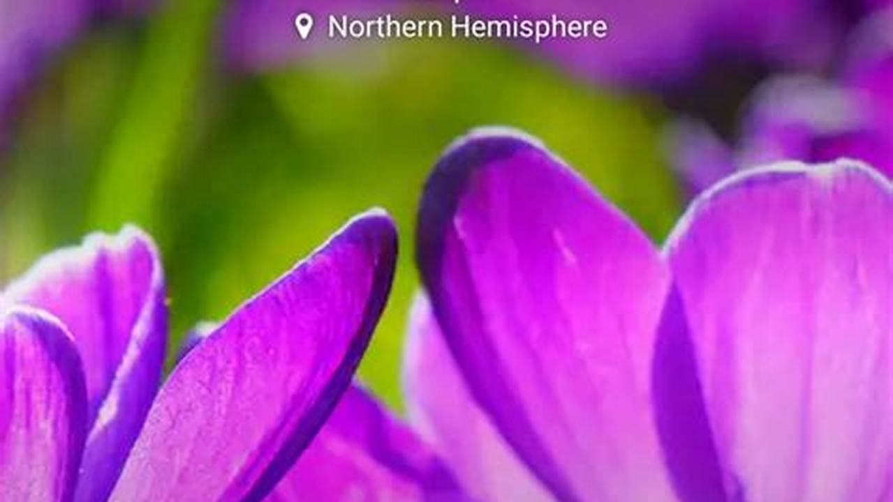 How Many Days Until Spring 2024 Imagestyling