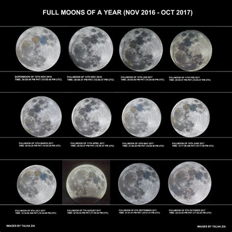 How Many Full Moons Are There in a Year?