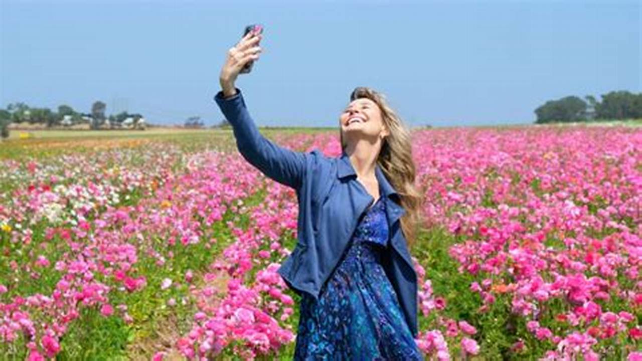 How Many Mondays Till Spring 2024