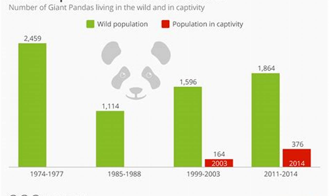 How Many Pandas Are Left In 2024