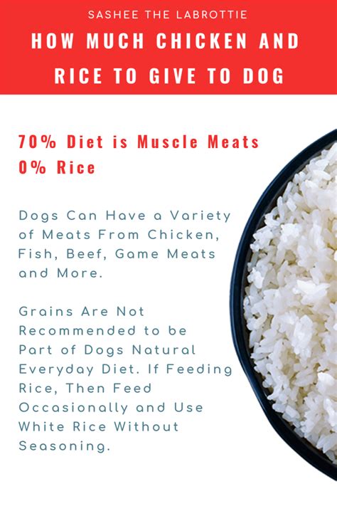 How Much Chicken Rice Mix Should I Feed My Dog Per Day?