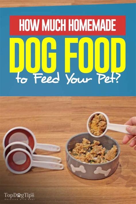 How Much Homemade Dog Food to Feed?