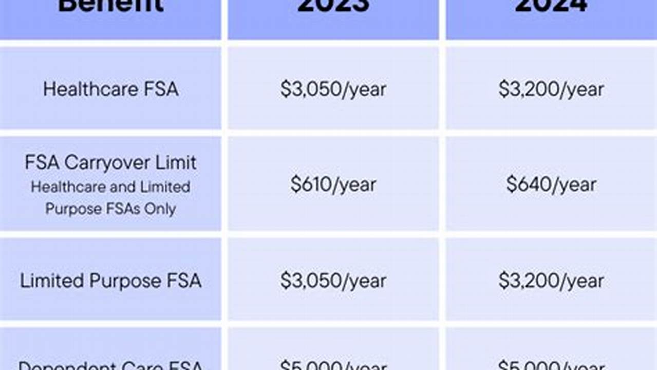 How Much Is Fsa For 2024