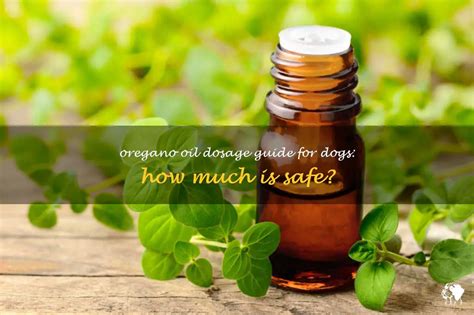 How Much Oregano Oil to Give Your Dog