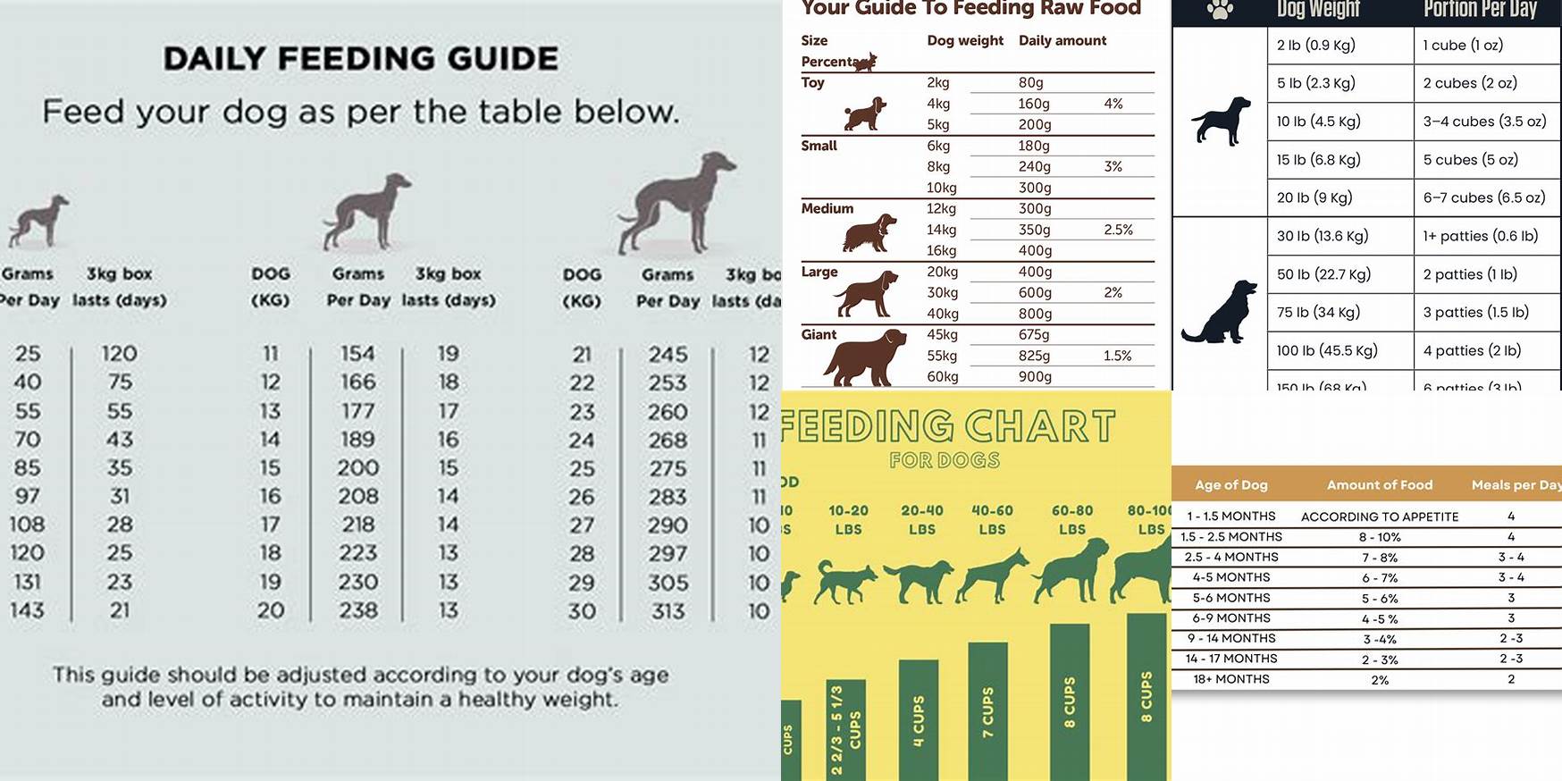 How Much Raw Food To Feed Dog Calculator