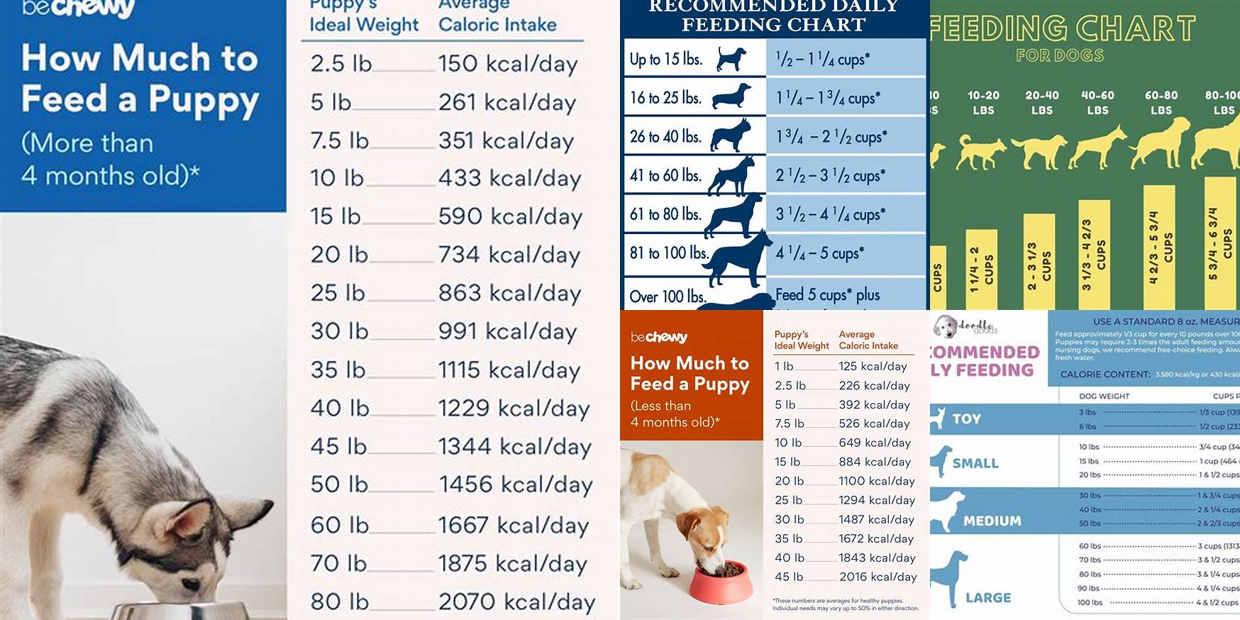 How Much Wet Food To Feed Dog By Weight