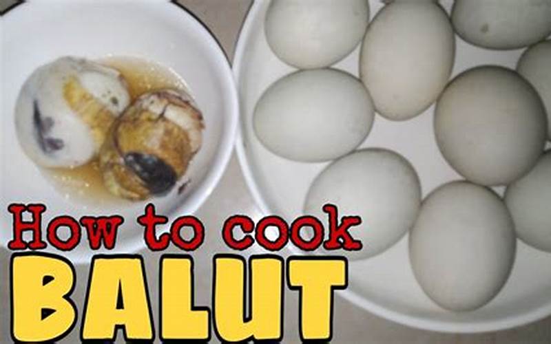 How To Boil Balut