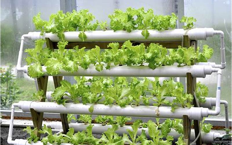 how to build a hydroponic garden