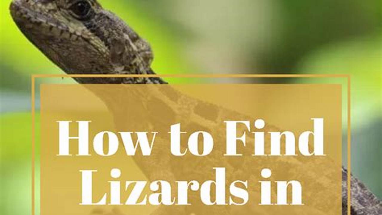 How To Catch Backyard Lizards