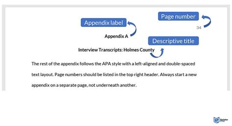 How To Cite An Appendix In Apa: A Comprehensive Guide