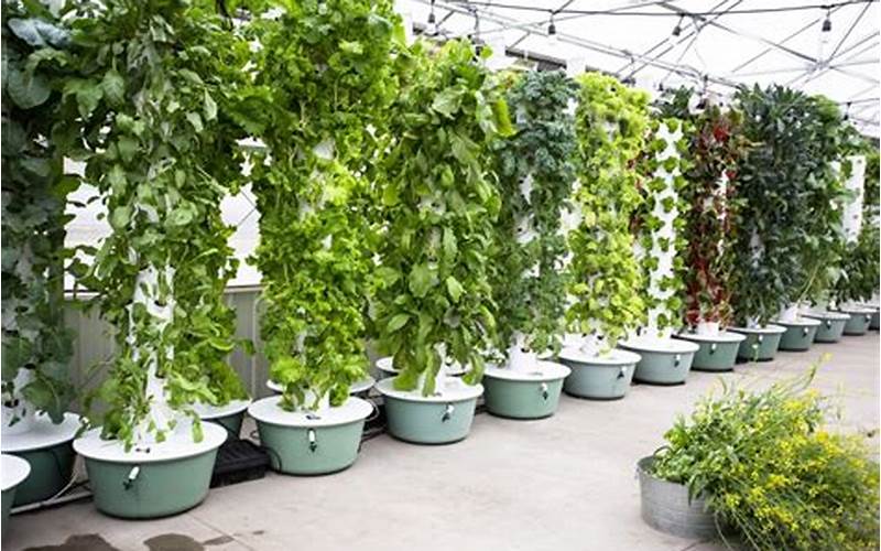 How To Create A Hydroponic Garden