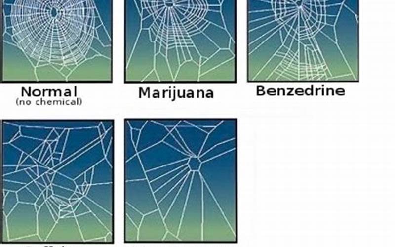 How To Create Your Own Spiderwebs On Different Substances Meme