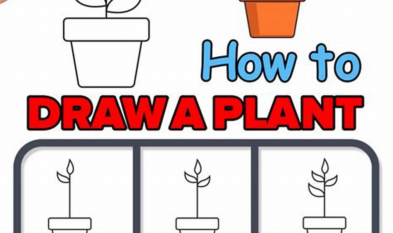 How To Draw A Plant