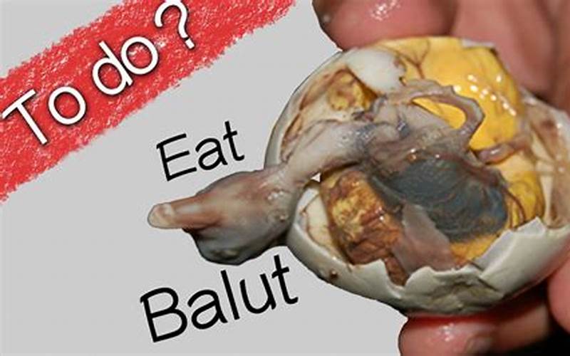 How To Eat Balut