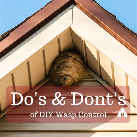 How To Get Rid Of Bees Nest In Wall Cavity