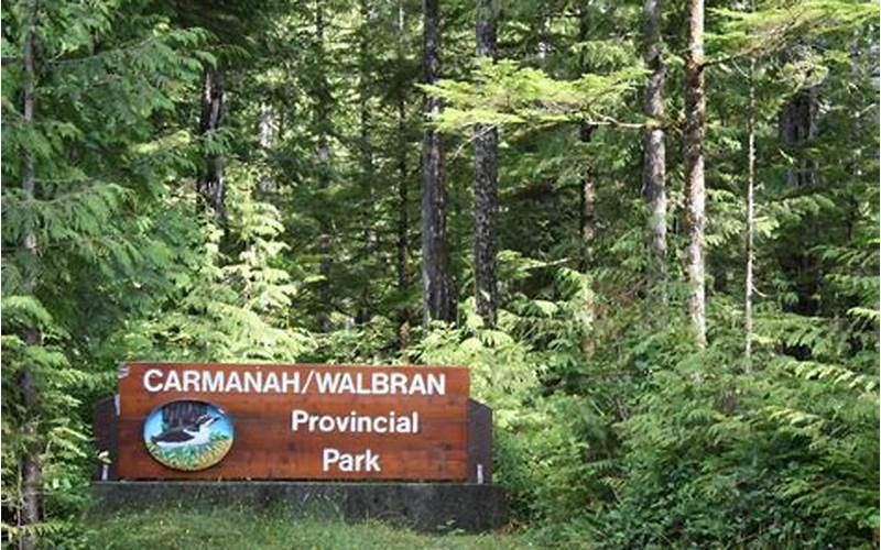 How To Get To Carmanah Walbran Provincial Park