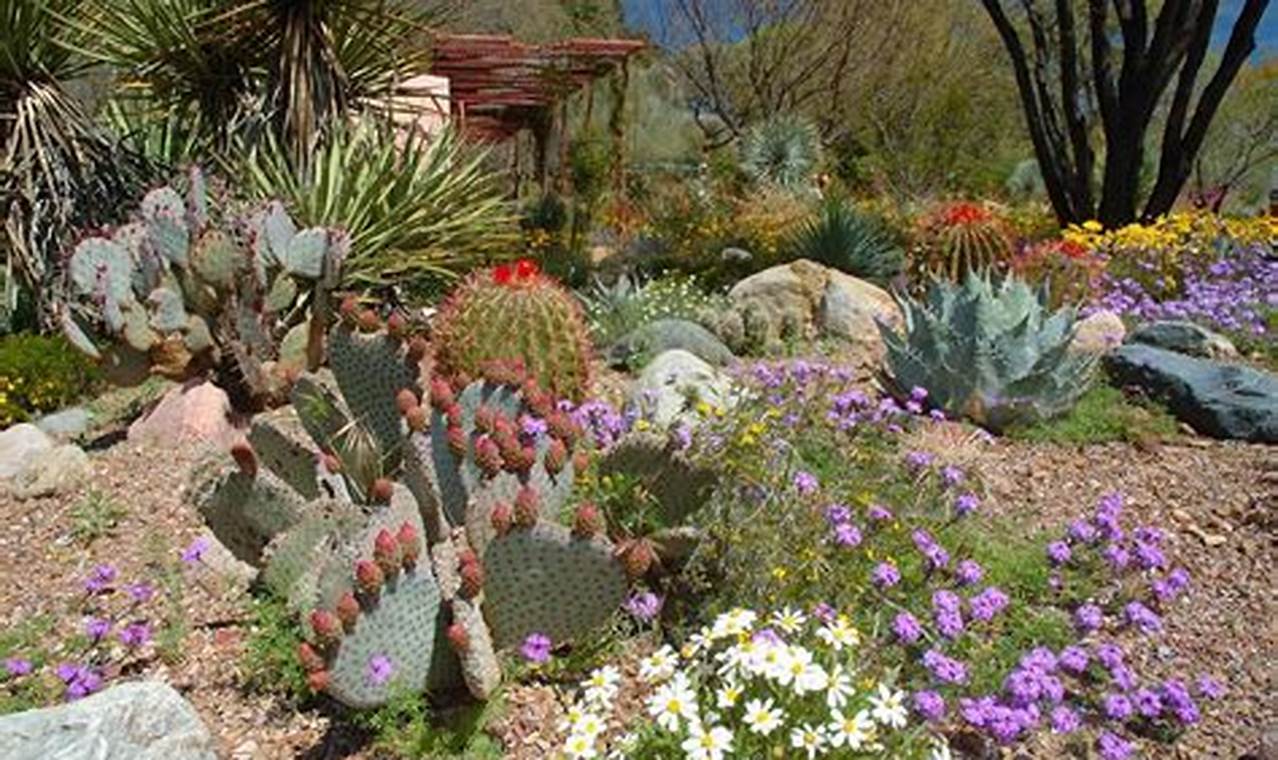 How To Grow A Garden In Arizona