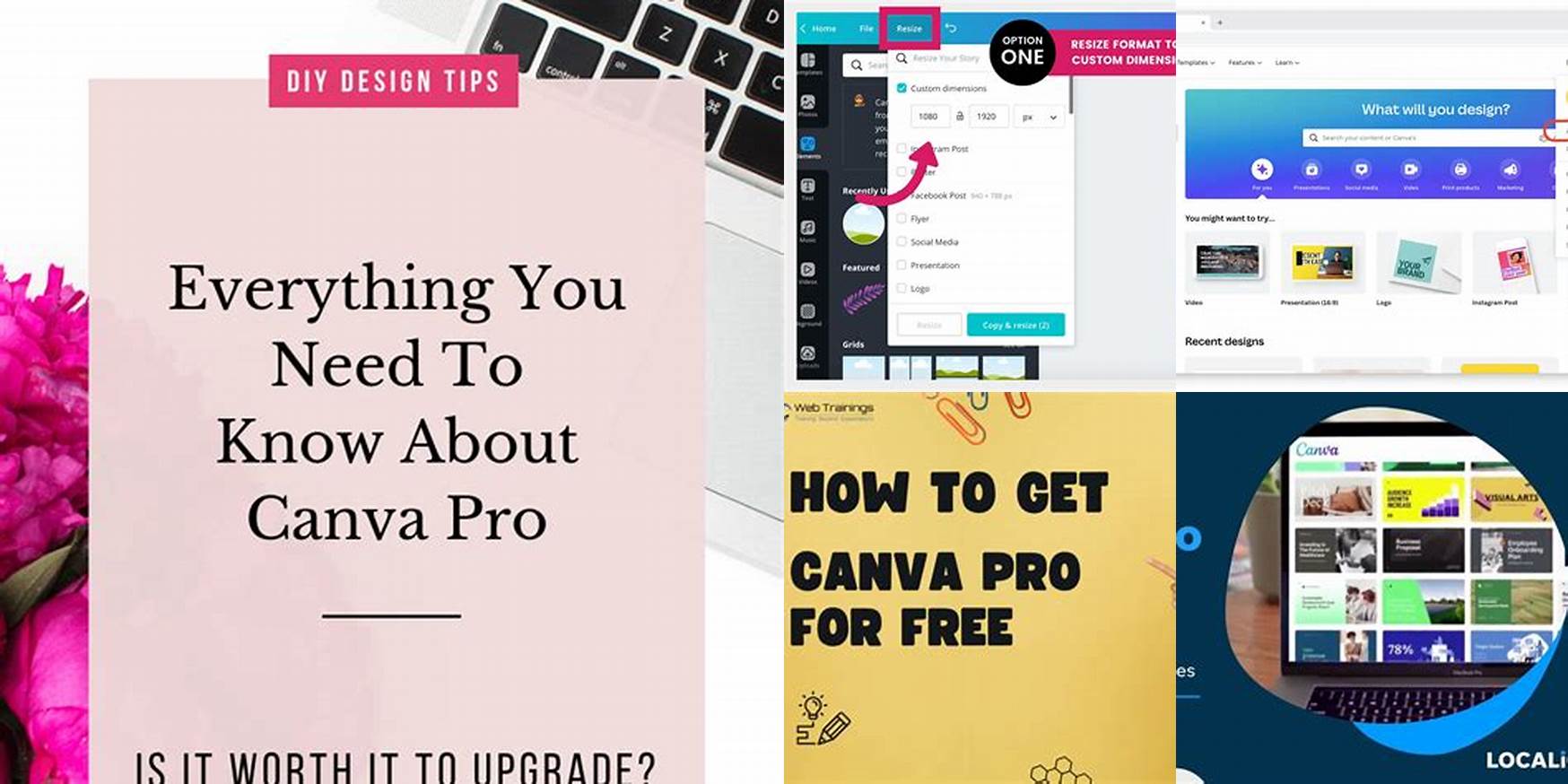 How To Know If Your Canva Is Pro