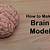 How To Make A Brain Model Out Of Styrofoam