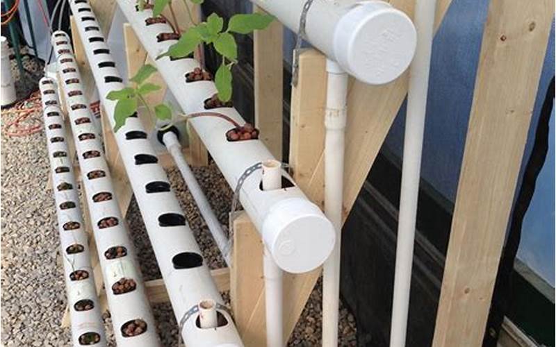 How To Make An Aquaponics System