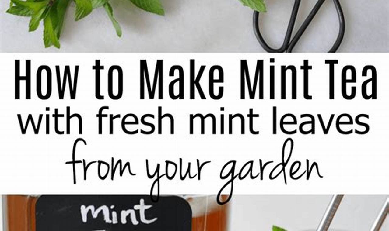 How To Make Mint Tea From The Garden