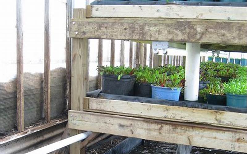 how to make aquaponic system