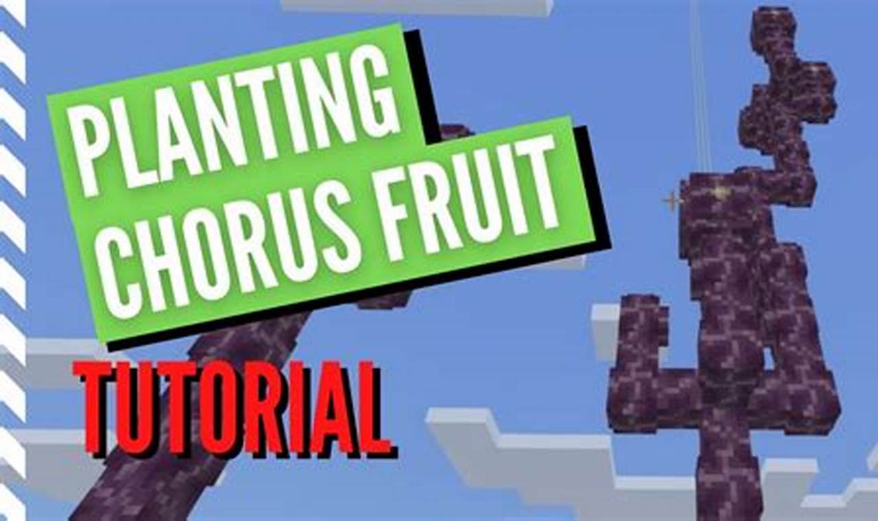 How To Plant Chorus Fruit