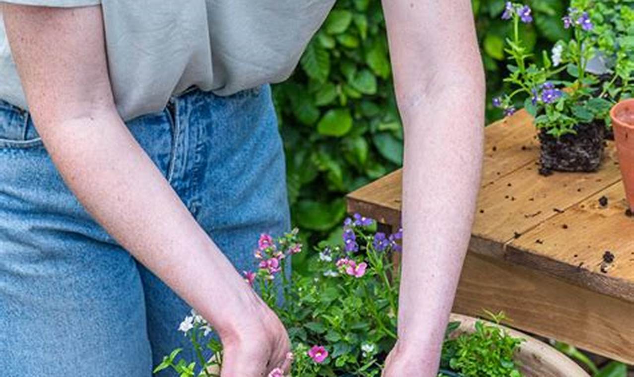 How To Plant Flowers In A Pot