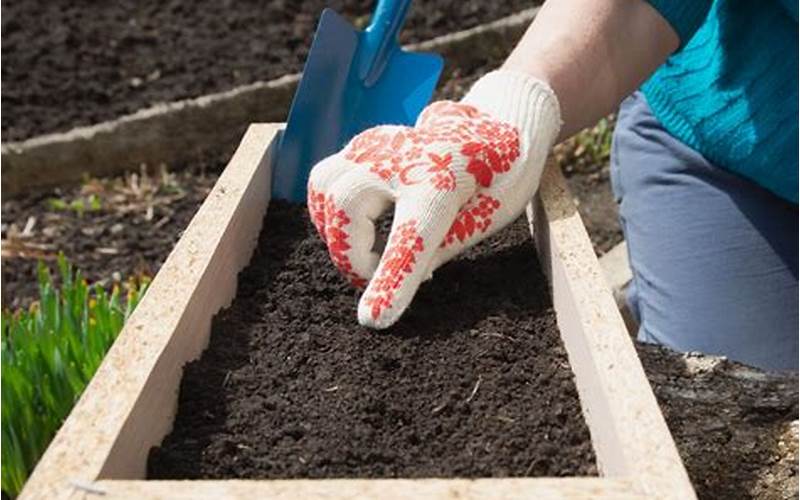 How To Prepare Your Garden