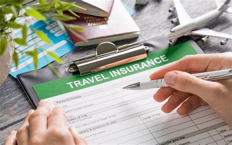 How To Purchase Viator Travel Insurance