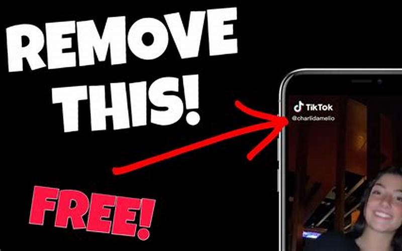 How To Remove Tiktok Watermark From Downloaded Videos