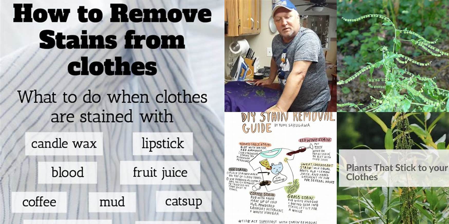 How To Remove Virginia Stickseed From Clothes