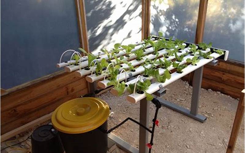 How To Set Up A Hydroponic System