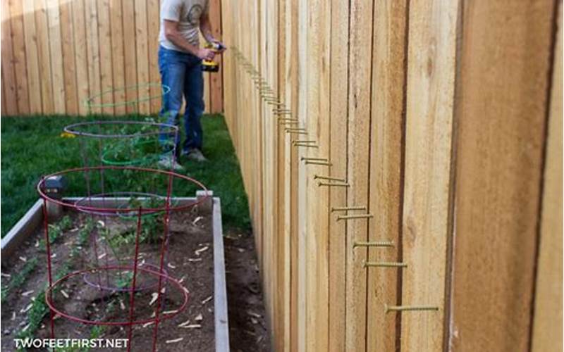 How To Set Up A Privacy Fence: Everything You Need To Know