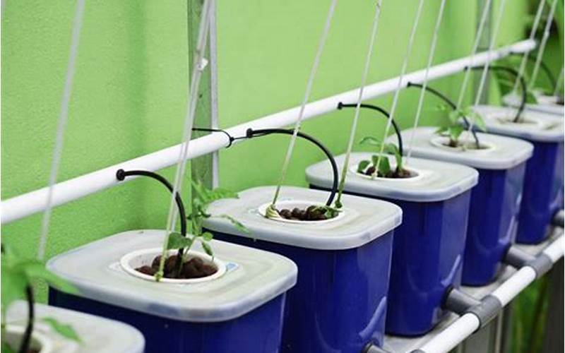 how to setup a hydroponic system