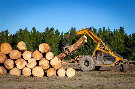 How to Start a Lumber Business and Be Successful