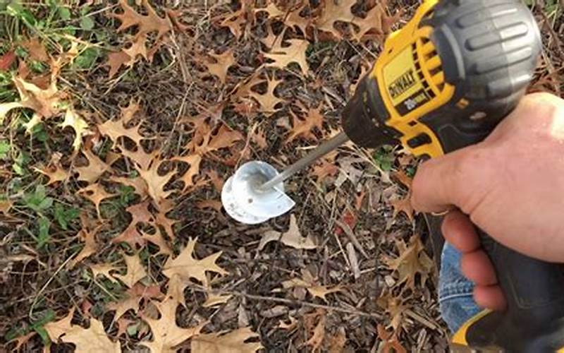 How To Use A Drill Bit For Planting Bulbs
