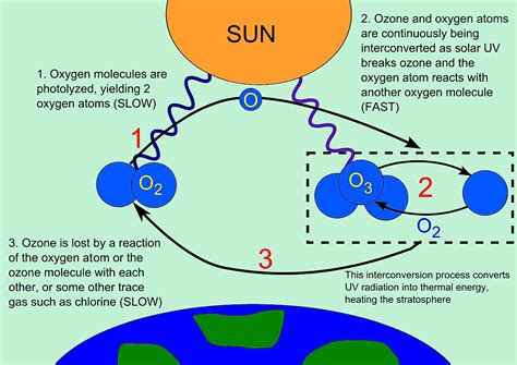 How do CFCs deplete the ozone layer?