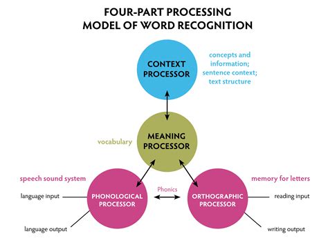 How does the four part processing model work?