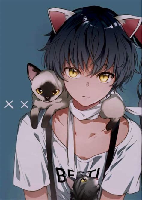 How to Apply Anime Cat Boy Wallpaper